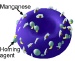 Nanobialys Soon Be Carrying Medicinal Compounds to Tumors or Atherosclerotic Plaques