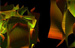 Shedding New Light on Superconductivity