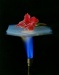 XRD Imaging of an Aerogel Revealed Nanoscale 3-D Bulk Lattice Structure
