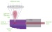 Controlling the Energy Levels of Quantum Dots