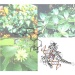 Resistance to Self-Produced Anticancer Toxins Could Help the Study of Drug Resistance in Cancer Patients