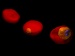 Work Could Aid in Diagnostics and Drug Testing