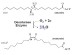 Shift in Enzyme's Function Expands Toolbox for Engineering Biofuels and Other Oil Products