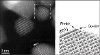 First Atomic-Scale Compositional Images of Fuel Cell Nanoparticles