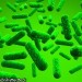 Scientists Shed New Light on Bacterial 'Crisis Command Centres'