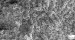 RNA Molecules Significantly Bolster Vaccine's Effectiveness