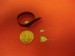 Using Nanowires to Develop Neural Probe Limiting Damage to Cells and Biological Tissue