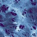 Buckypapers Clarify Optical and Electrical Behavior of Nanotubes