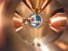 Investigating the Microscopic Structure of Quantum Gases