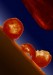 Nanoparticles Withstanding Extreme Stress and Deformation