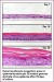 Providing Higher Level in Cell Culture Performance and Cost-Effectiveness