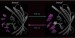 Shedding Light on Molecular Mechanism Responsible for Fluorescent and Dark States of Protein