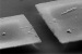 Measuring Tiny Amounts of Mass with Atomic Precision