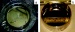 New Type of Deformable "Liquid Mirror" Based on Ferrofluids