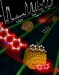 Understanding How Nanoparticles Change Form Help Solve Global Energy Needs