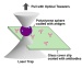 Cutting-Edge "Tweezers" for Detecting and Measuring Very Small Concentrations of Biological Substance