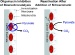Microscopic "Powerhouses" Power New Explosives Detector