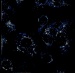 Nontoxic Nanoparticle Developed at Penn State is Proving to be an All-Around Effective Delivery System