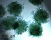Silica Based Nanoparticles "Battered" Polymers Could Create Clever Packaging and Self Healing Paints