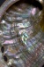 Nanoscale Imaging Reveals New Clues on How "Mother of Pearl" is Formed