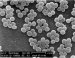 Nanoparticle Tracking Analysis Provides Invaluable Information for Virus Detection