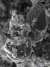 Introducing NanoArt Online Competition - A New Art Discipline