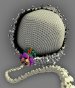 Researchers Discover the Atomic Structure of a Powerful Molecular Motor