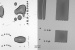 Using Nanotechnology, Researchers Significantly Improve Properties of Printed Circuits