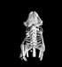 Company Achieves Three Key Milestones Using its Unique X-Ray Beam