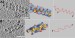 Scientists Reveal Three-Dimensional Structure of Cellular Protein Factories