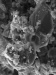 Online Exhibition NanoArt 2008-2009 Open for Public Viewing