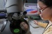 Nanoscale 'Magnetic Tornadoes' Holds Promise for New Generation of Computers