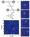 Rice Boy Racers Pimp Their Rides at The Nanoscale With Modified Nanocars