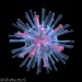 Scientists Discover How Influenza Virus Hijacks Human Cells