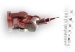 Agar Scientific Now in Position to Supply Kleindiek Micromanipulator to UK and Irish Markets