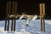 Lab-On-A-Chip Tracking Down Microscopic Bacteria and Fungi