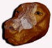 Penn State Engineers Search for a Better Artificial Nose