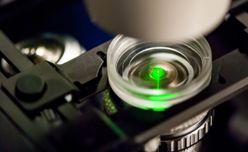 Chameleon Vision from Coherent Intended to Maximize the Potential of Multiphoton Microscopy Techniques