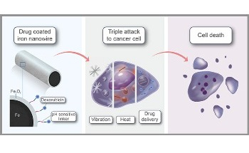 Drug-Coated Iron Nanowires Developed to Selectively Kill Tumor Cells