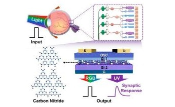 New Nanodot-Based Photo-Sensitive Artificial Nerves Selectively Detect UV Light