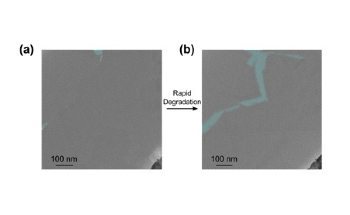 New Method Helps Observe the Dynamic Motion of Atoms in 2D Materials
