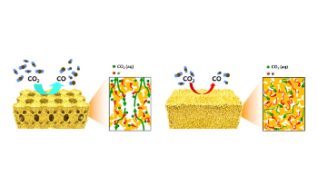 Developing Efficient Nanocatalyst for Selective, Robust CO2 Reduction Reactions
