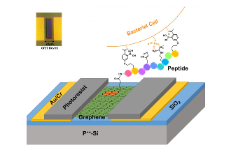 Graphene Prototype for Electrical Detection of Lethal Pathogens