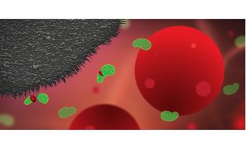 Graphite Nanoplatelets can Prevent Infections