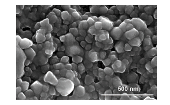 Nanoparticles to Achieve Targeted Elimination of Malignant Tumors