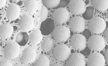 Study Demonstrates Strong Binding Properties of Nanocelluloses