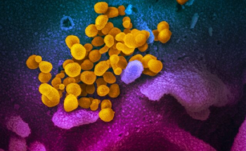 The Development of a New Anti-COVID-19 Nanocoating 