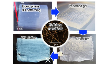 3D-Patterned Nanocellulose Could Lead to Advanced Optical, Thermal Devices