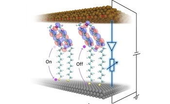 Two-in-One Super Molecule for High-Density Computing