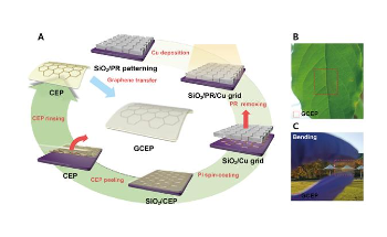 Researchers Use Graphene to Improve Performance and Stability of Solar Cells